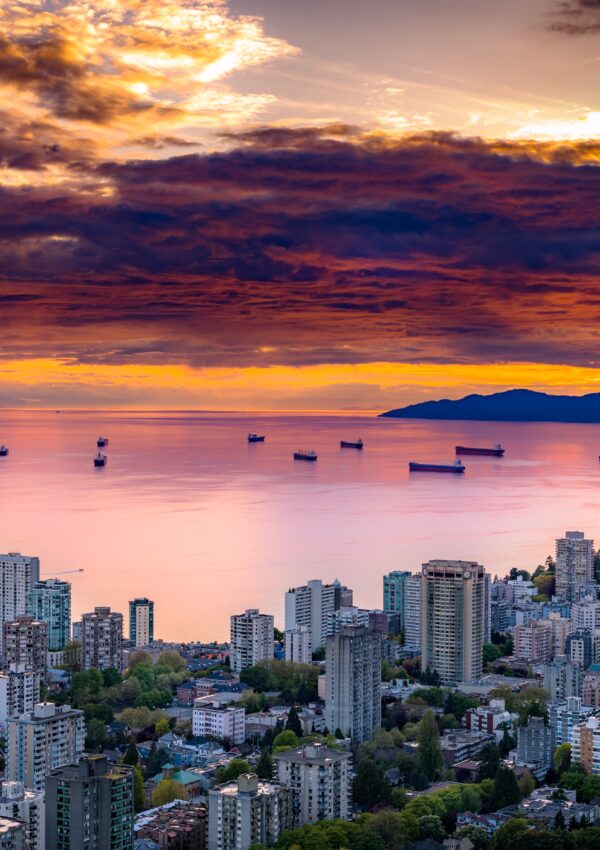 Navigating a Year in Vancouver: The Ups, Downs, and Everything In Between